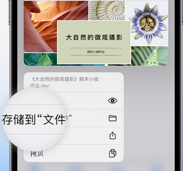 莆田apple维修中心分享iPhone文件应用中存储和找到下载文件