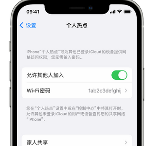 莆田apple服务站点分享iPhone上个人热点丢失了怎么办 