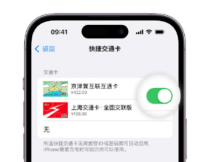 莆田apple维修点分享iPhone上更换Apple Pay快捷交通卡手绘卡面 