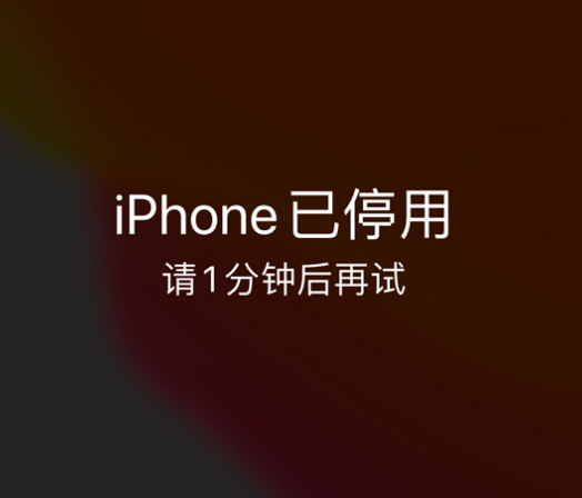 莆田苹果手机维修分享:iPhone 显示“不可用”或“已停用”怎么办？还能保留数据吗？ 