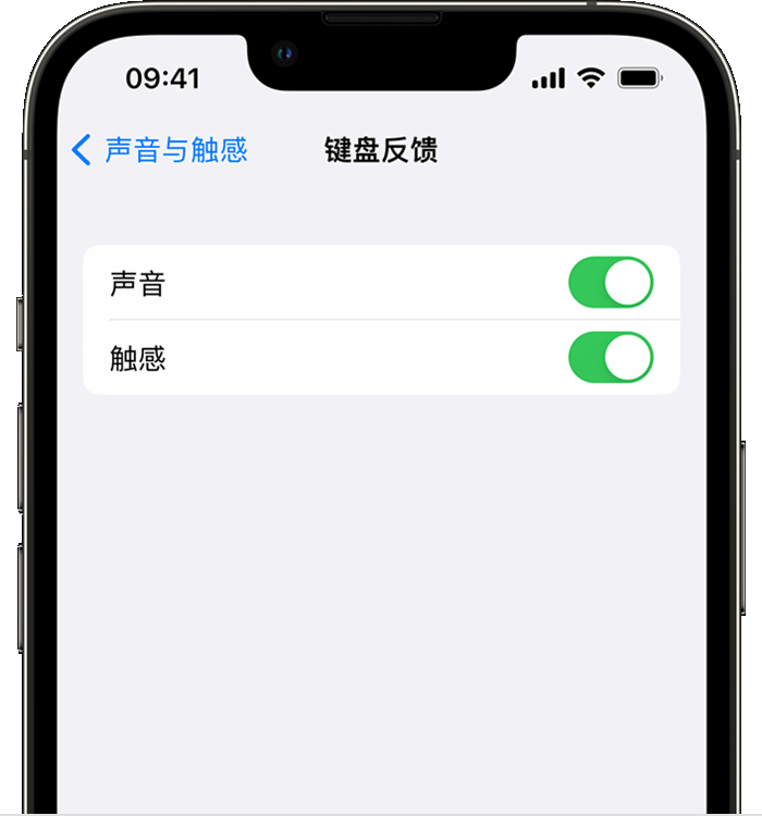 莆田苹果14维修店分享如何在 iPhone 14 机型中使用触感键盘 