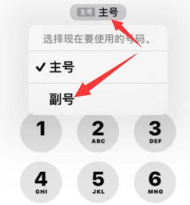 莆田苹果14维修店分享iPhone 14 Pro Max使用副卡打电话的方法 