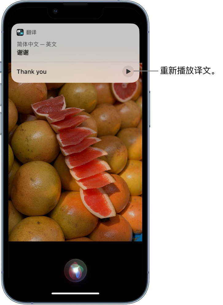 莆田苹果14维修分享 iPhone 14 机型中使用 Siri：了解 Siri 能帮你做什么 