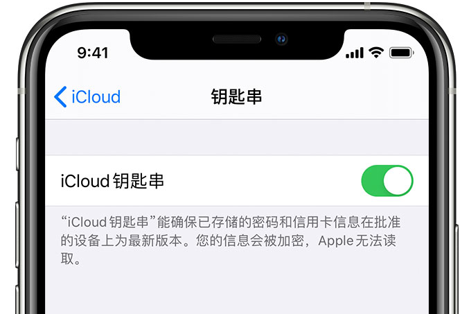 莆田苹果手机维修分享在 iPhone 上开启 iCloud 钥匙串之后会储存哪些信息 