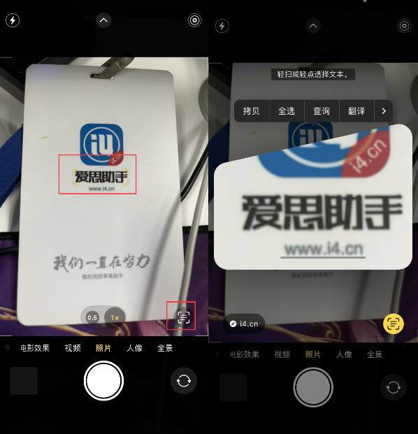 莆田苹果手机维修分享升级iOS 16后如何通过相机翻译文本 