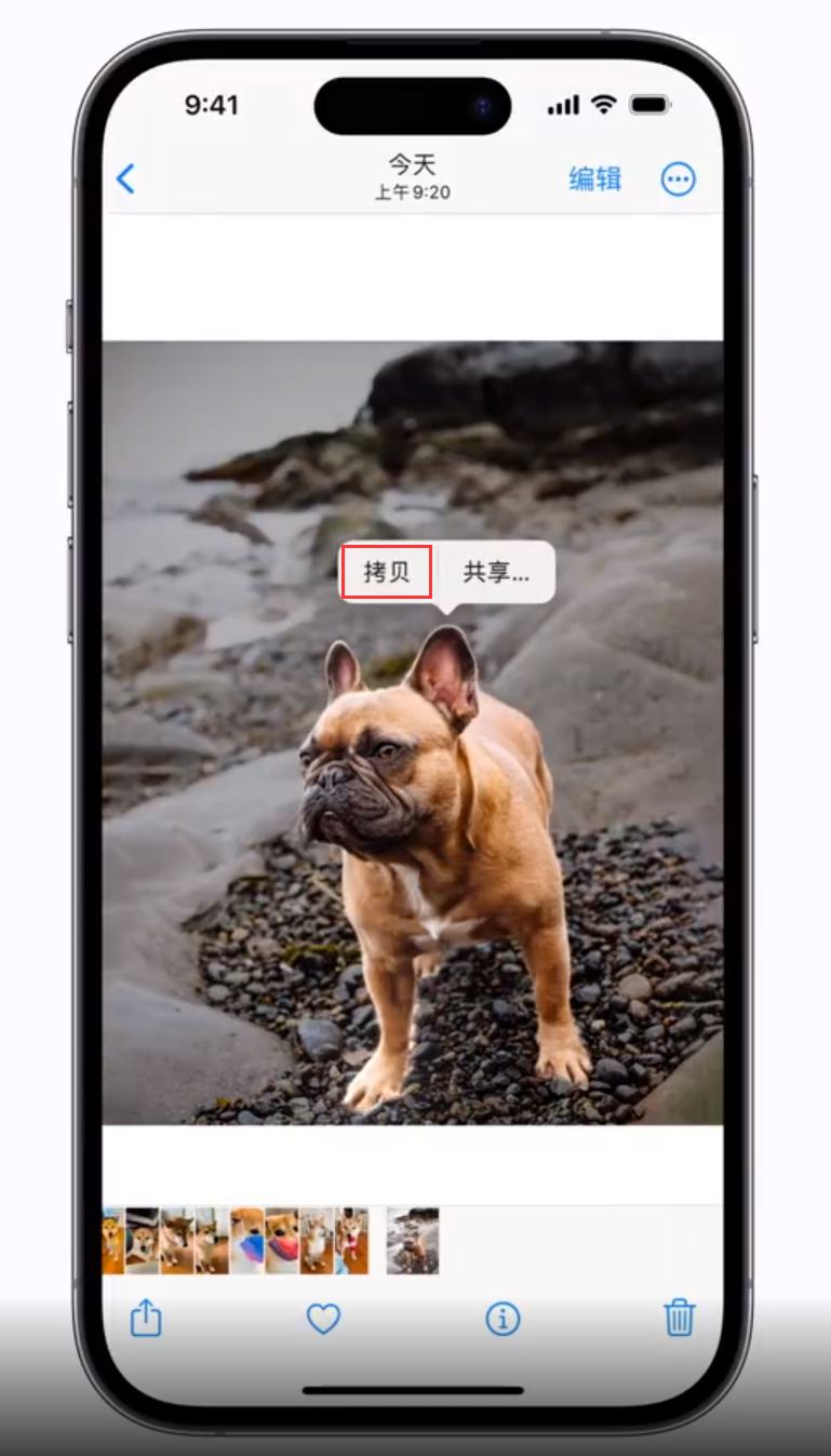 莆田苹果手机维修分享 iOS 16 自带一键抠图功能 