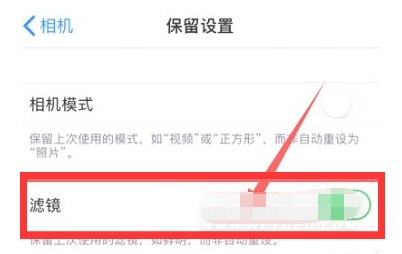 莆田苹果13维修分享iPhone13拍照有绿点是怎么回事 