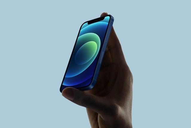 莆田苹果手机维修分享iPhone 12 mini辐射很大吗 